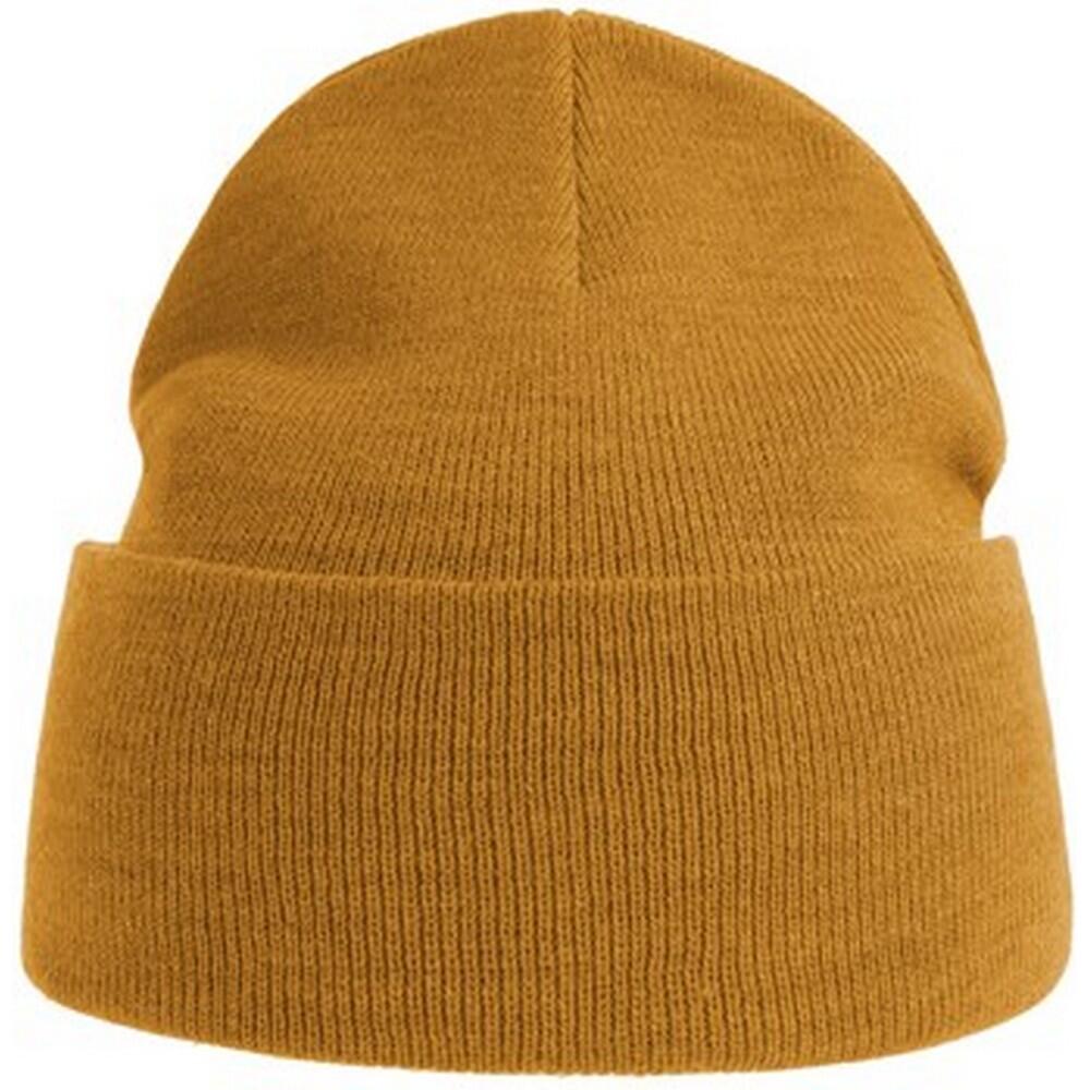 Unisex Adult Pure Recycled Beanie (Mustard Yellow) 1/3