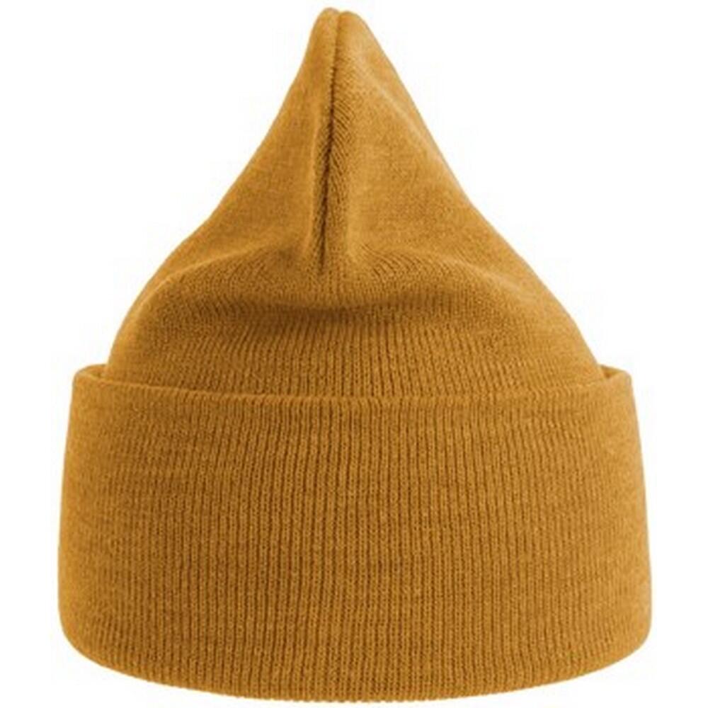 Unisex Adult Pure Recycled Beanie (Mustard Yellow) 2/3