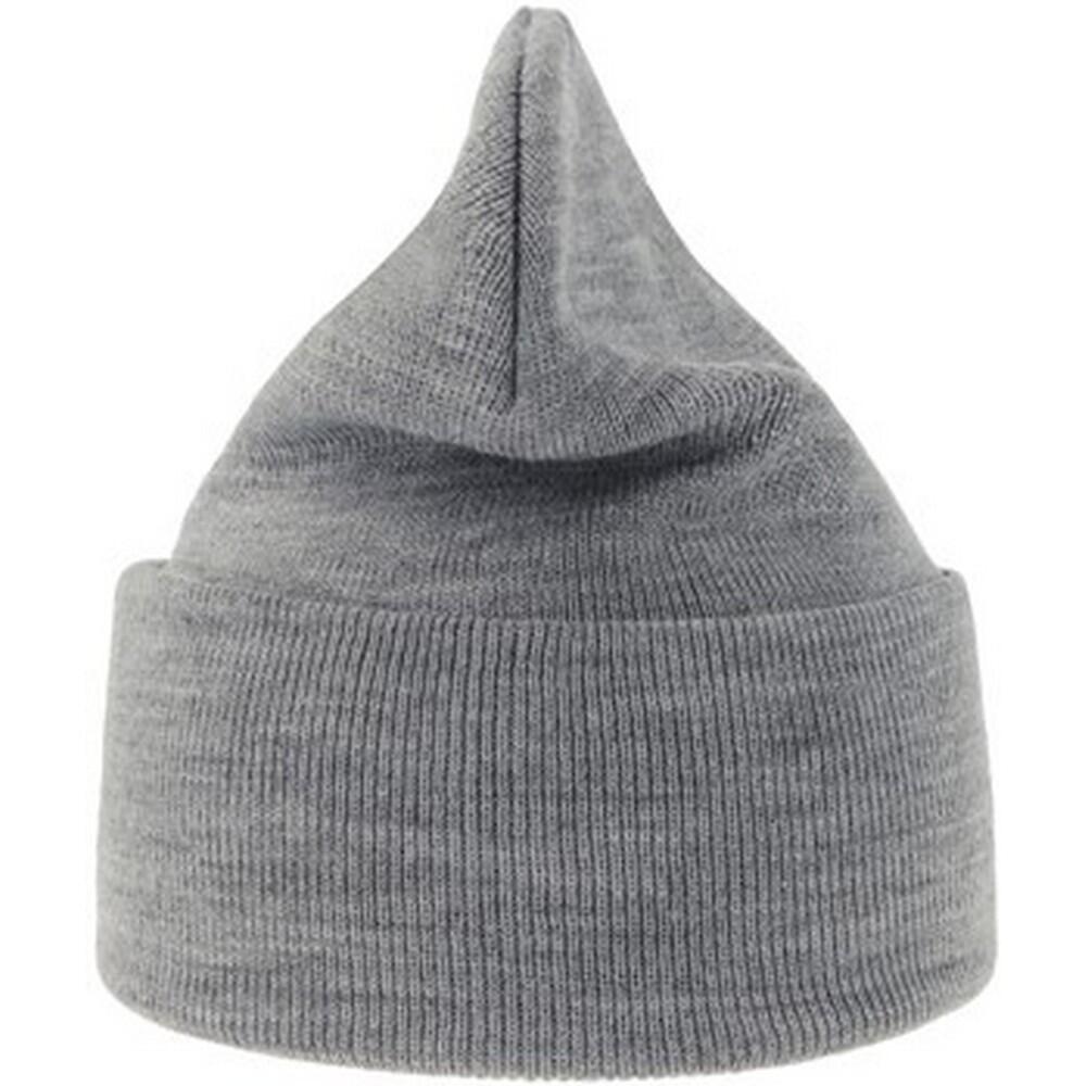 Unisex Adult Pure Recycled Beanie (Light Grey) 2/3