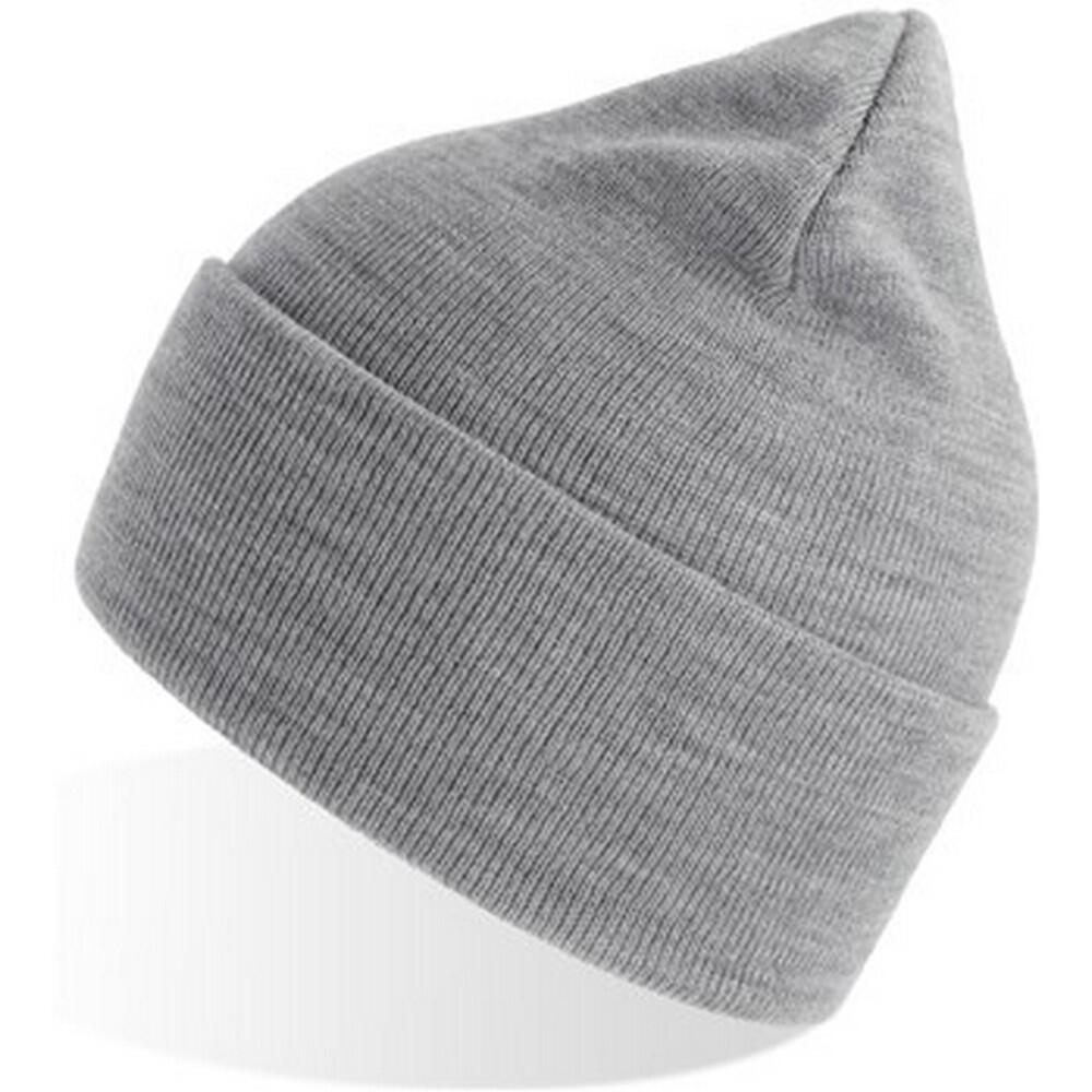 Unisex Adult Pure Recycled Beanie (Light Grey) 3/3