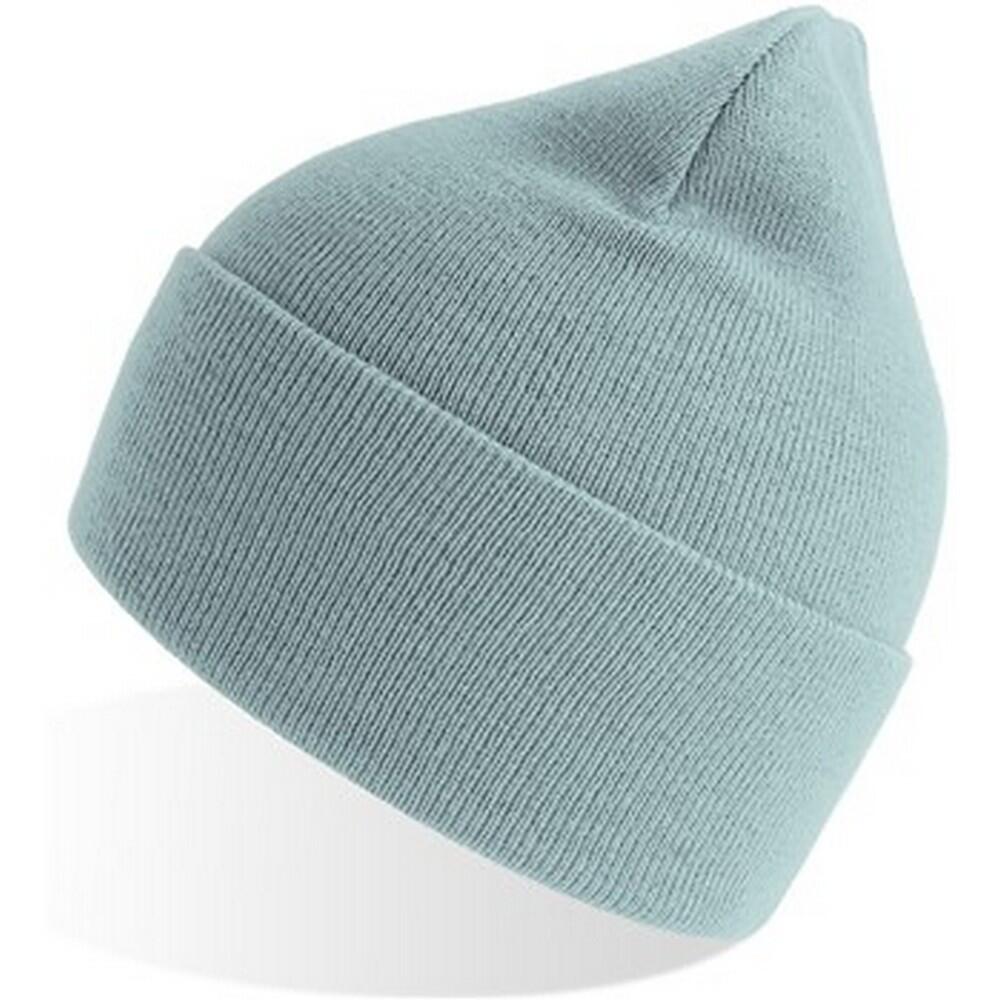 Unisex Adult Pure Recycled Beanie (Light Blue) 3/3