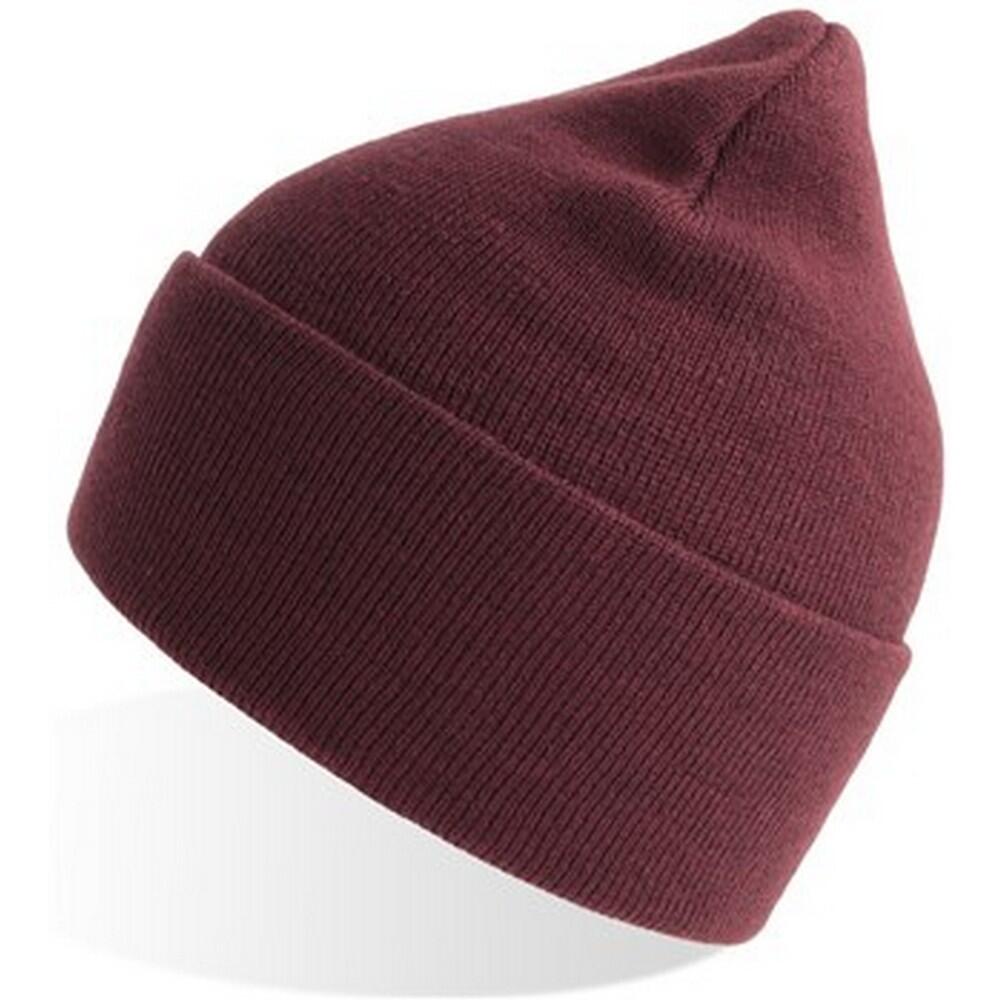 Unisex Adult Pure Recycled Beanie (Burgundy) 3/3