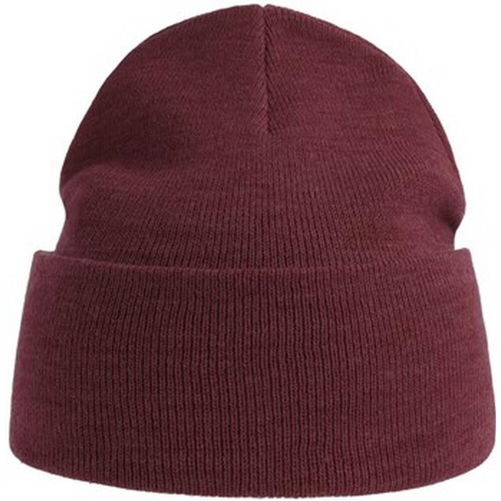 ATLANTIS Unisex Adult Pure Recycled Beanie (Burgundy)