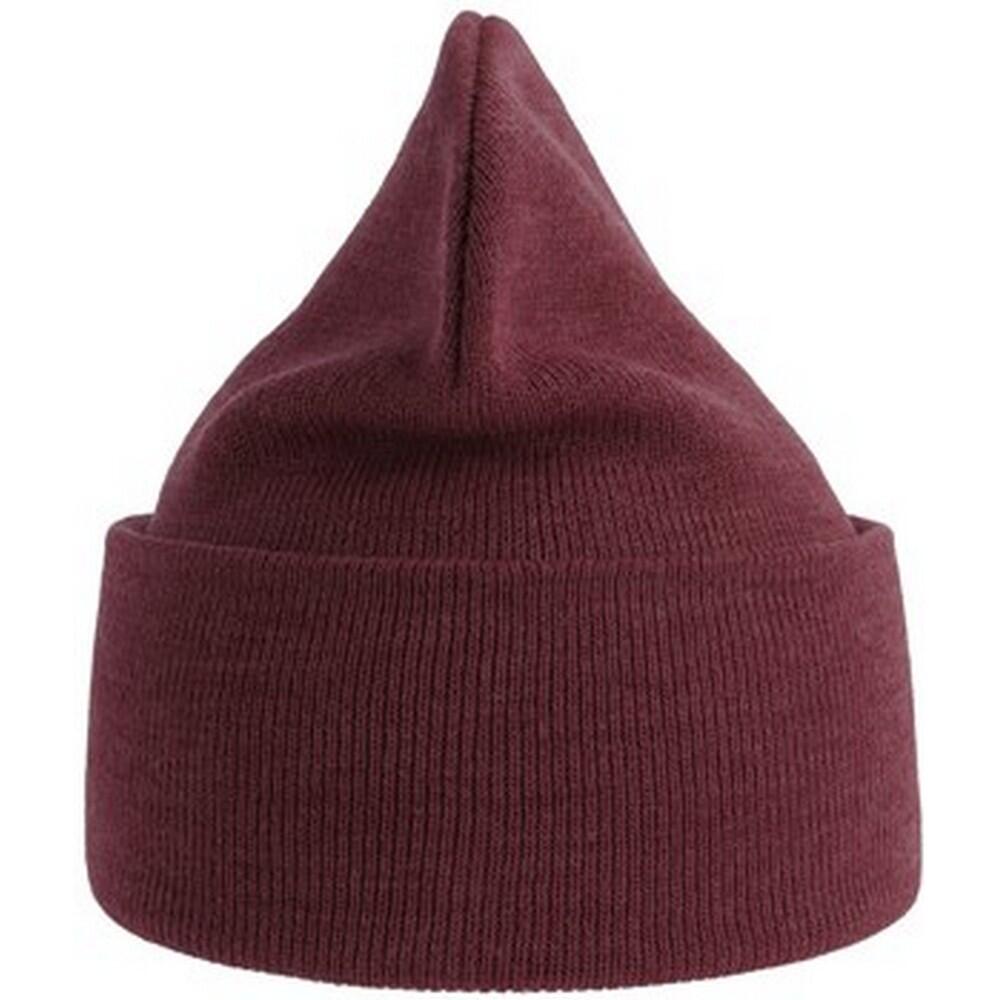 Unisex Adult Pure Recycled Beanie (Burgundy) 2/3