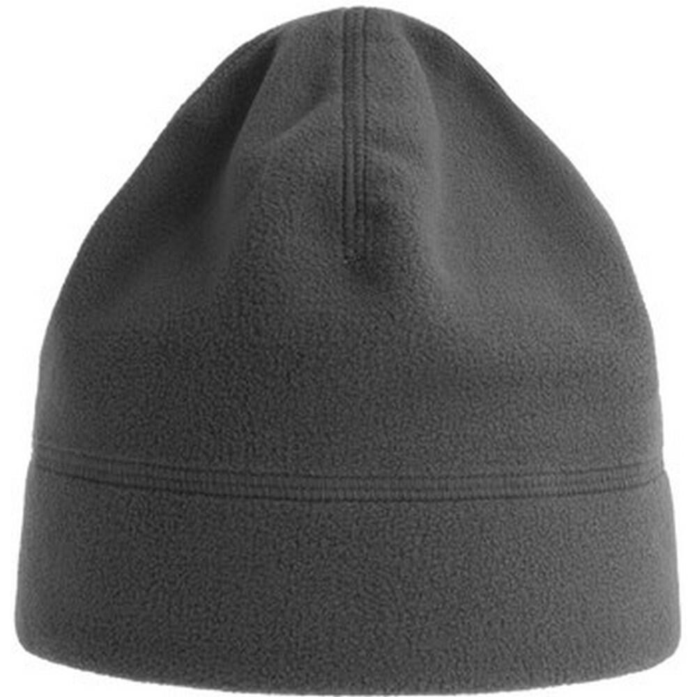 ATLANTIS Unisex Adult Birk Recycled Polyester Beanie (Dark Grey)