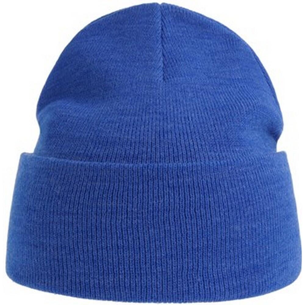 Unisex Adult Pure Recycled Beanie (Royal Blue) 1/3
