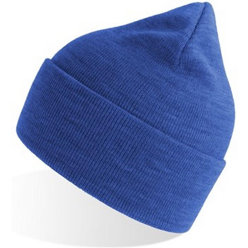 Unisex Adult Pure Recycled Beanie (Royal Blue) 3/3