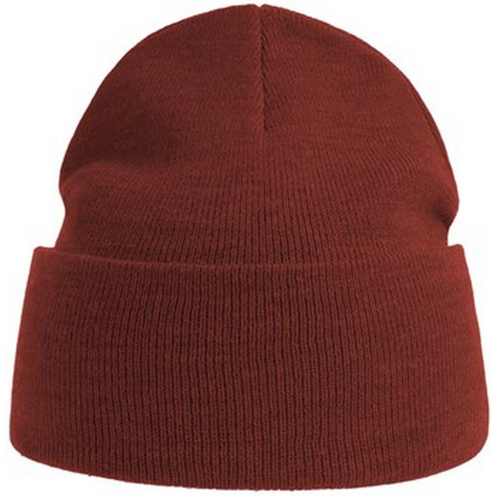 ATLANTIS Unisex Adult Pure Recycled Beanie (Rust)