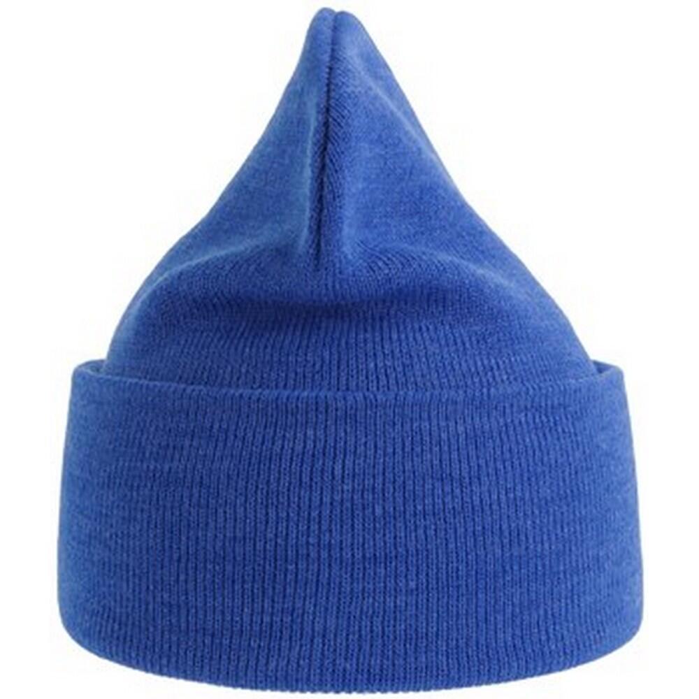 Unisex Adult Pure Recycled Beanie (Royal Blue) 2/3