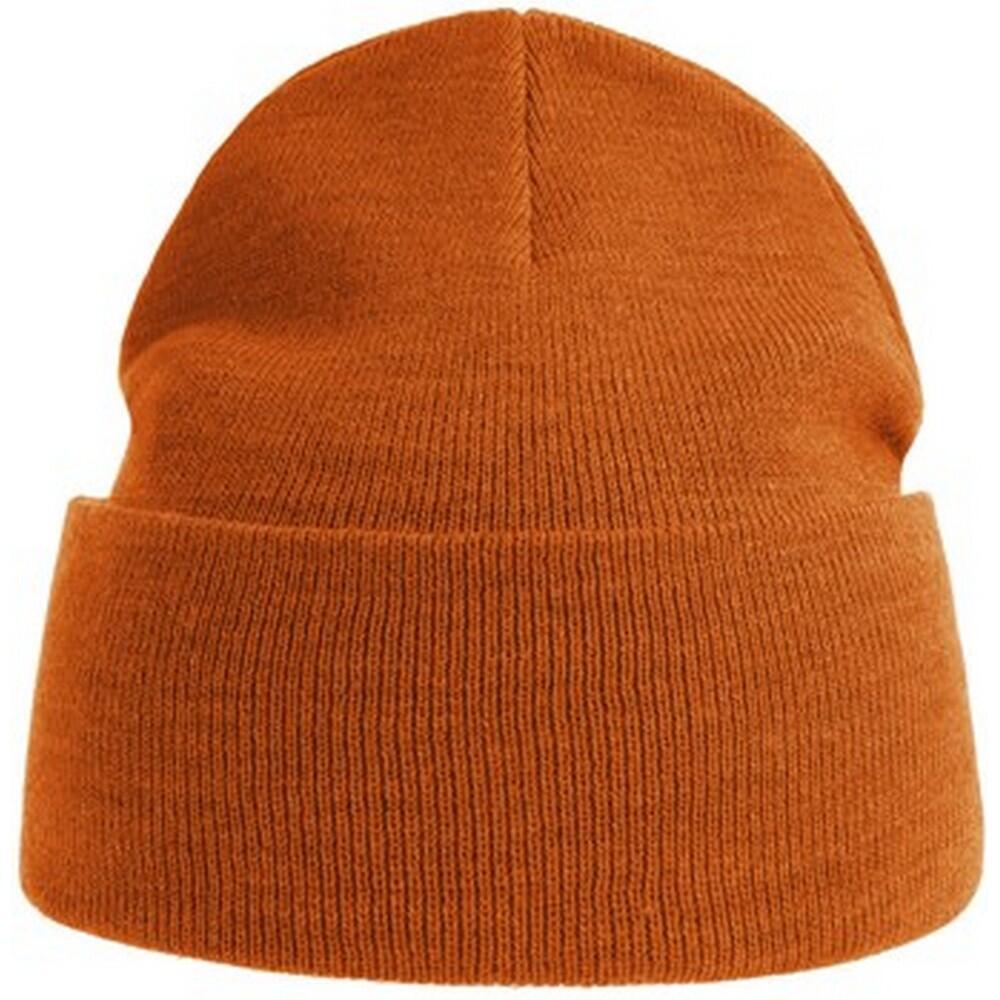 ATLANTIS Unisex Adult Pure Recycled Beanie (Orange)