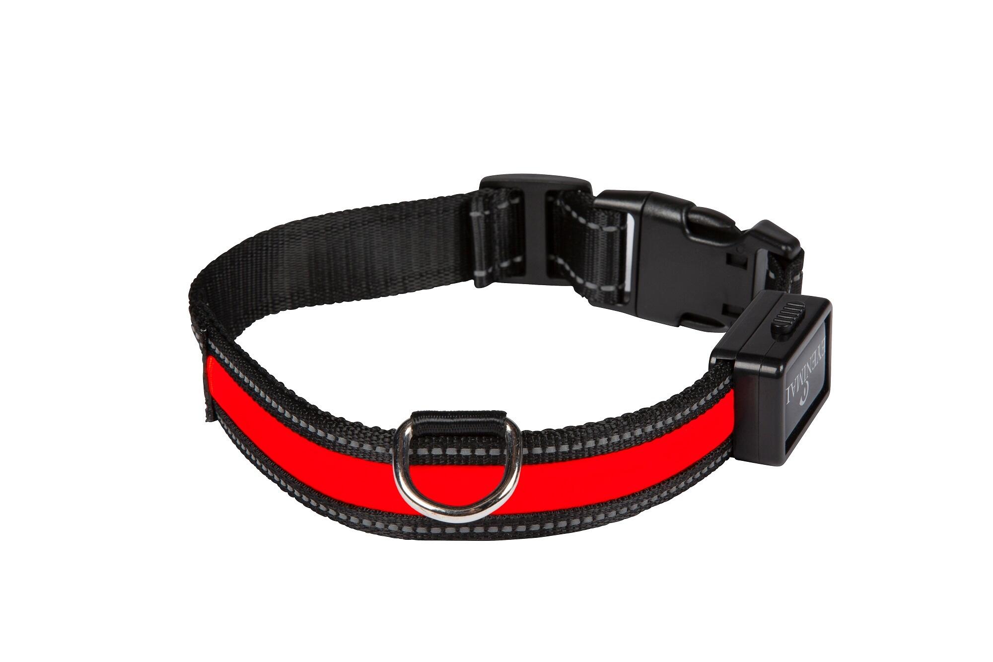 Lichtgevende hondenhalsband " LIGHT COLLAR USB Rechargeable " rood 2/2