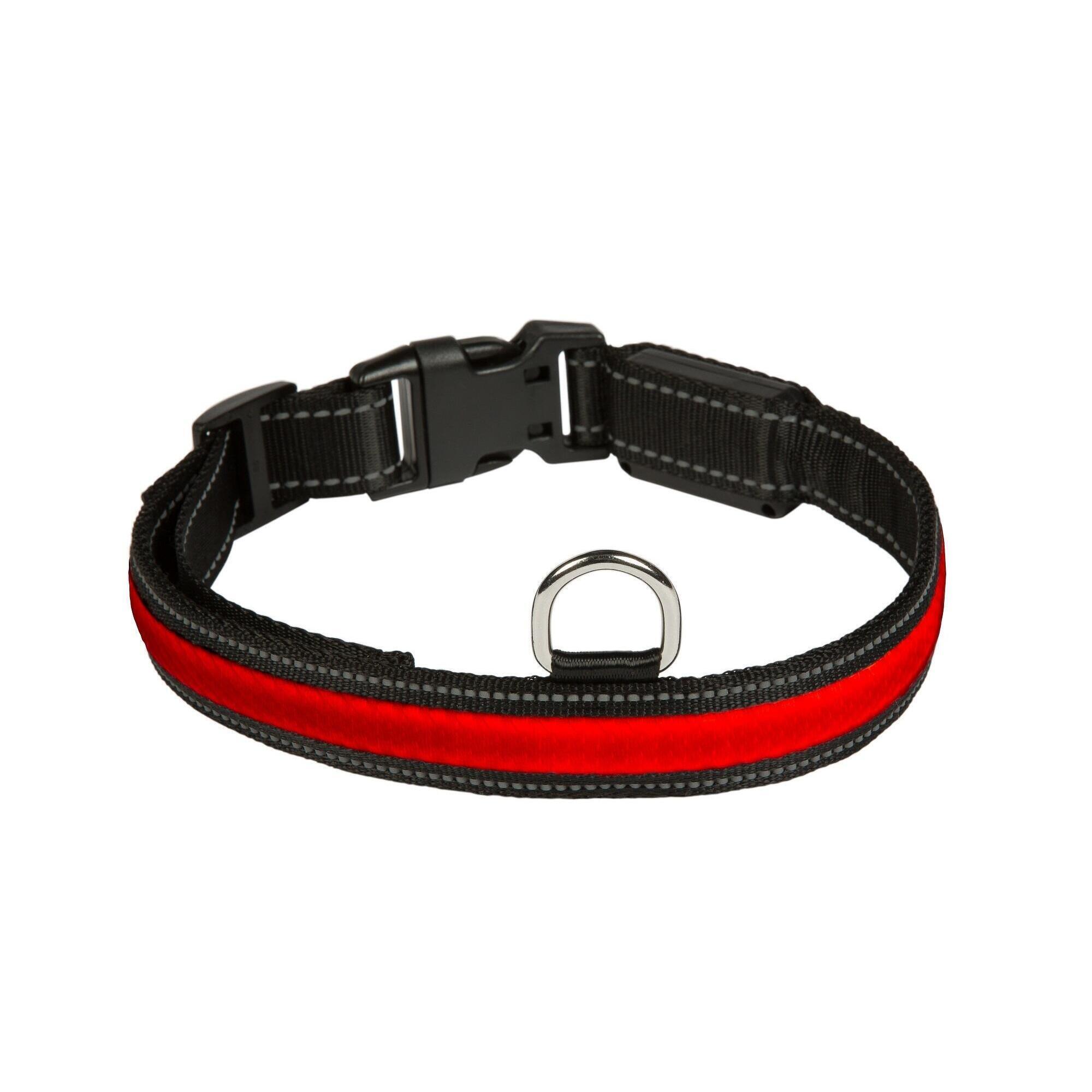Collier pour chien lumineux Eyenimal RGB 3/4