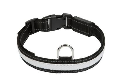 Collier lumineux 3 couleurs pour chien "RGB LIGHT COLLAR Rechargeable
