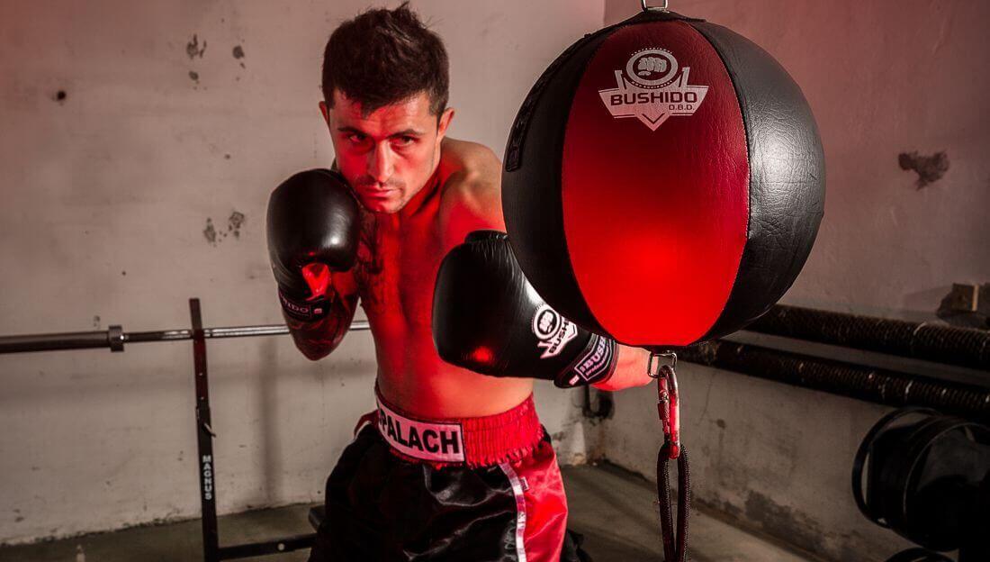 Reflexní míč, speedbag DBX BUSHIDO ARS-1164 2/6