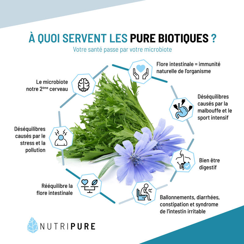 Pure Bio² Ferments Lactiques - Dont Lactobacillus & Bifidobactéries - 60 gélules