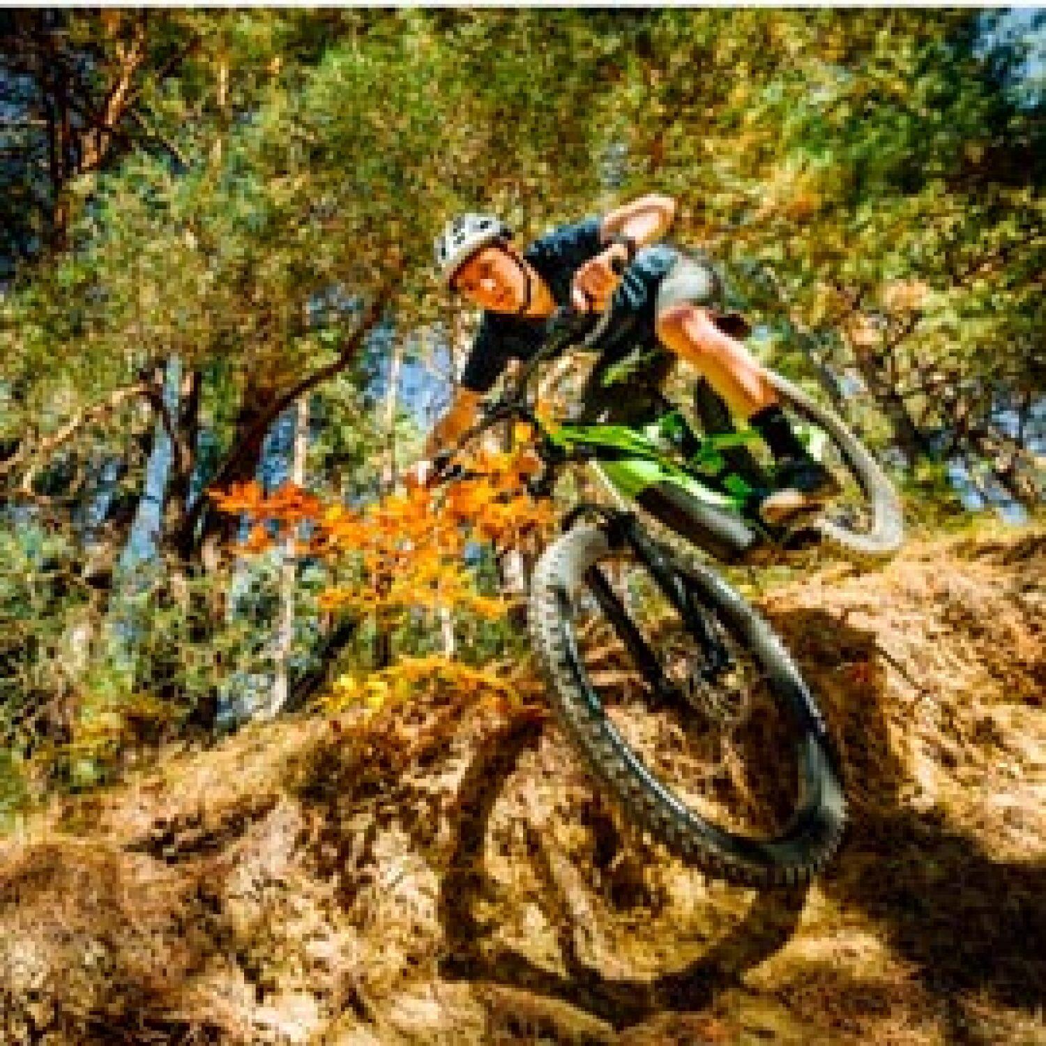 MTB-Reifen Gravity - vae Michelin e-wild rear tubeless - tubetype TS 5/5