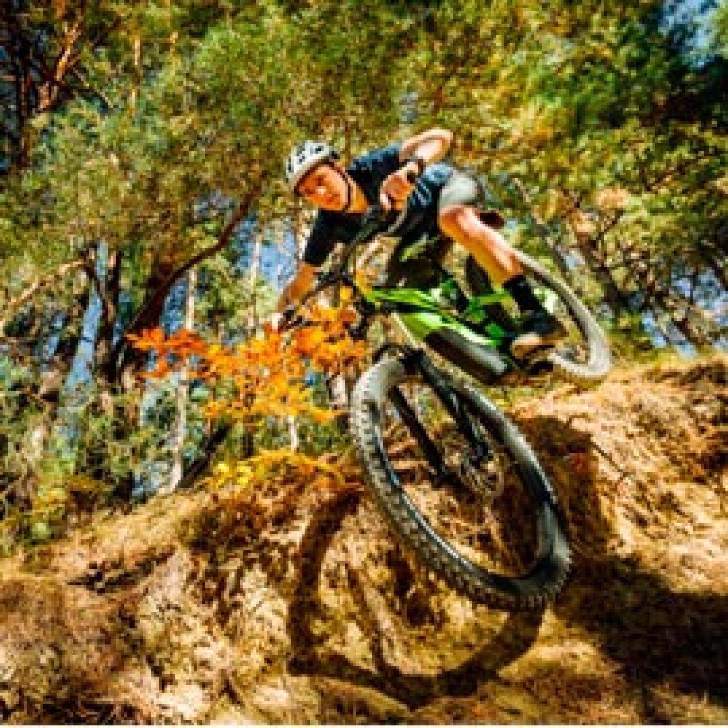 Weicher Reifen Michelin E-Wild Gum-X Ava.Tlr Comp.ple 5/5