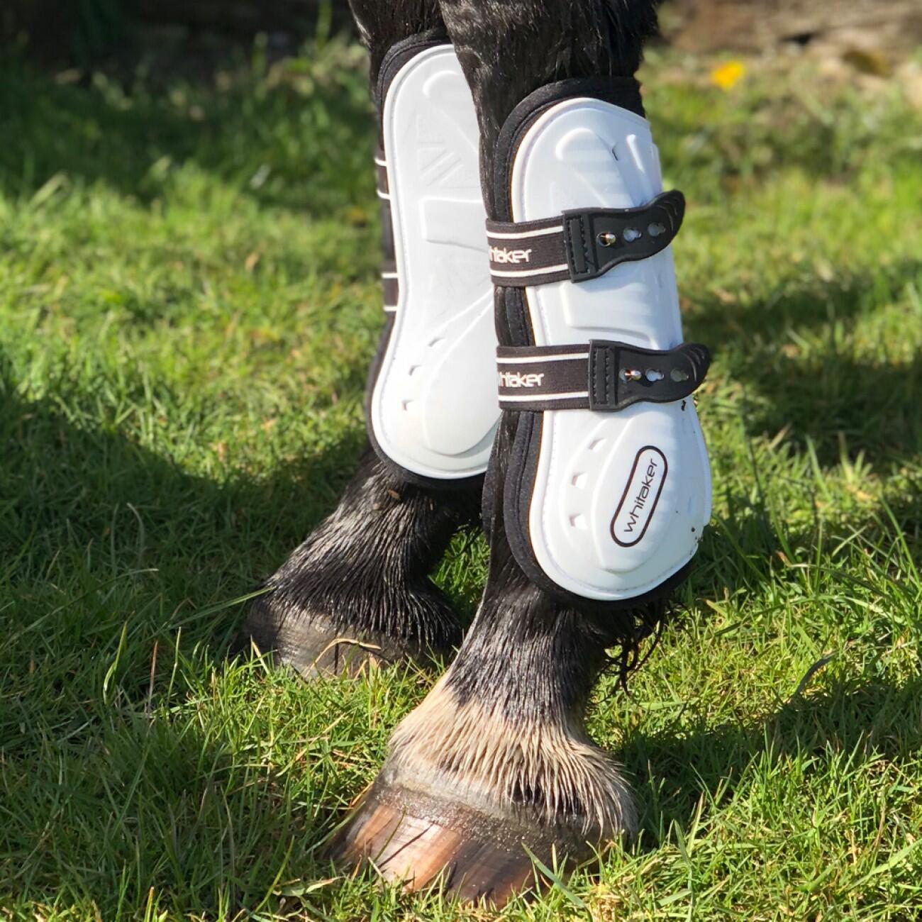 Bingley Tendon and Fetlock boots 1/2