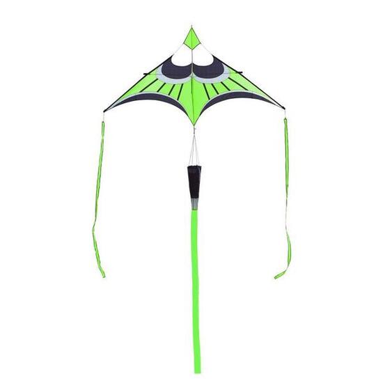 Einleiner Drachen HQ Hoffmanns Canard Delta Lime 106389 Grün 296 x 165 cm