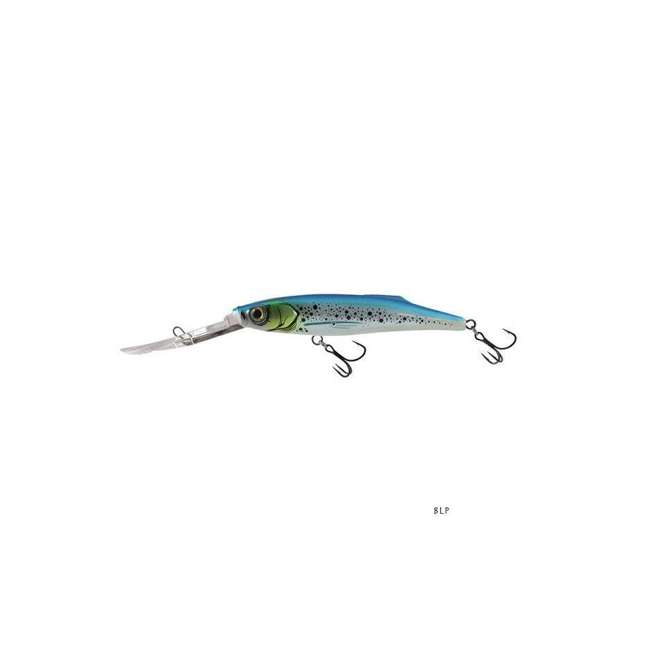 SALMO picture