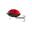 Poisson Nageur Salmo Lil Bug 2cm (LB - Ladybird)