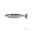 Leurre Souple Fox Rage Pro Shad Jointed (18cm - SN Rainbow Trout)