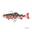 Leurre Souple Fox Rage Replicant Realistic Trout Jointed (18cm - SN Tiger Trout)