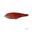 Poisson Nageur Babyface JB150 S (22 - Watermill Red)