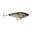 Rapala X-Rap Haku 14cm Peixe Nadador (ROL)