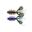 Leurre Souple Daiwa Prorex Both Craw 8,75cm (Green Pumpkin / Purple)