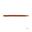 Leurre Souple Daiwa Prorex Skinny Worm 10cm (Orange Pumpkin)