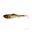 Leurre Souple Abu Garcia Beast Pike Shad 16cm (Golden Roach)