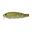 Poissons Nageur Evergreen Royal Flash JR (27 - Ayu)