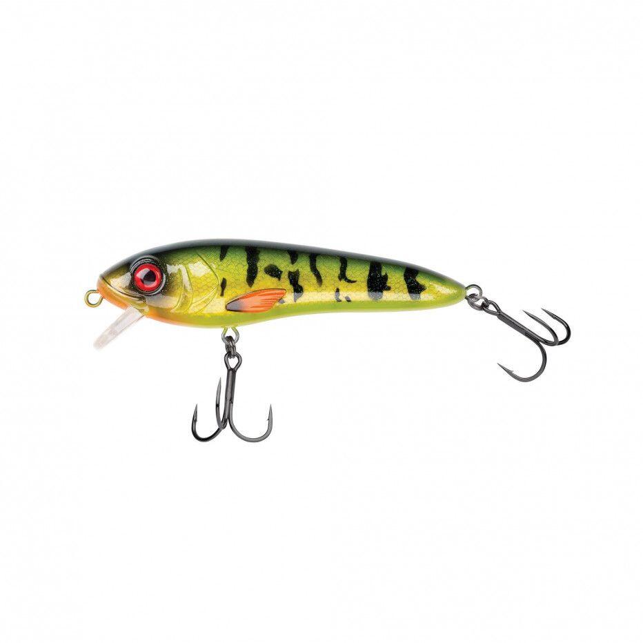 ABU GARCIA picture