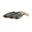 Leurre Souple Savage Gear Craft Shad 7,2cm (Roach)