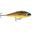 Poisson Nageur Rapala Super Shadow Rap 16cm (GSML)