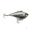 Leurre Rapala Rippin Rap 7cm (ROL)