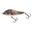 Salmo Rattlin Slider 8Cm Supernatural Wounded Dace - Roofvis Jerkbaits