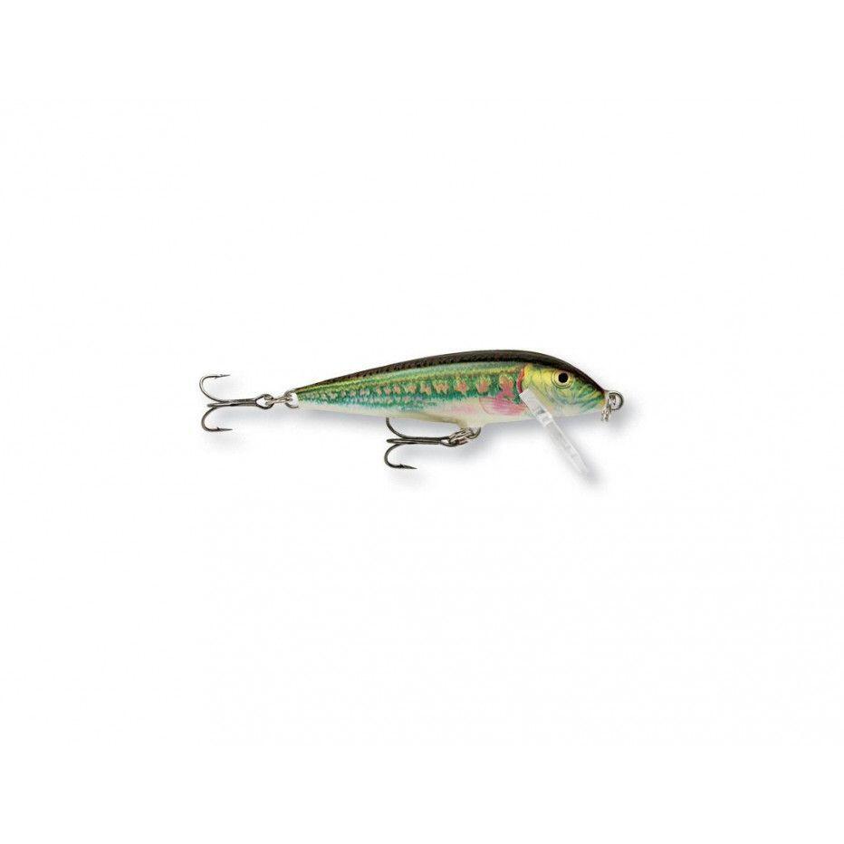 RAPALA picture