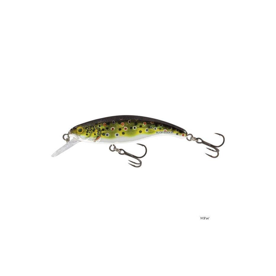SALMO picture