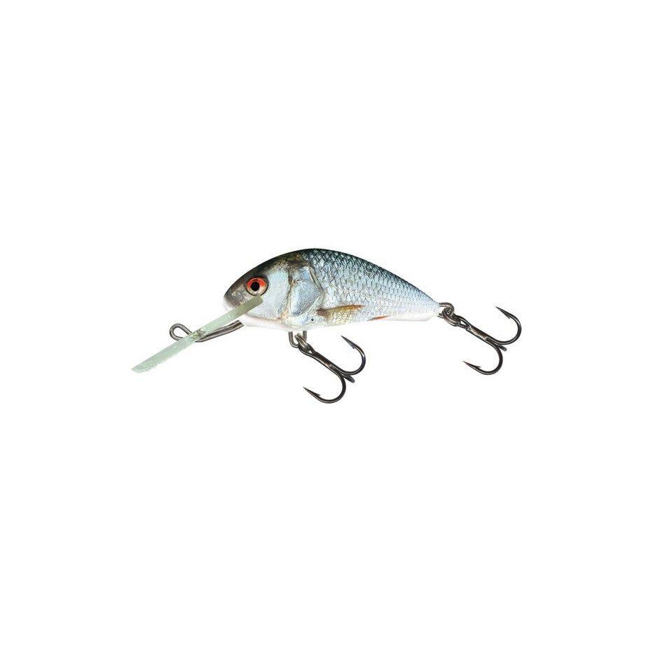 SALMO picture