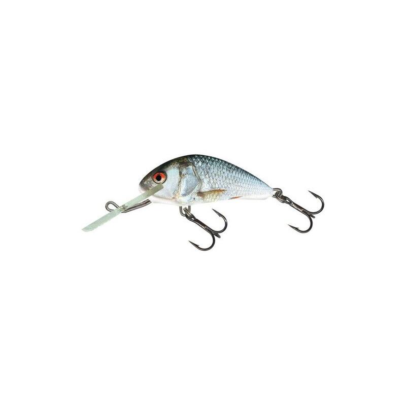 Poisson Nageur Salmo Hornet Floating (H3F - RD - Real Dace)