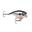 Poisson Nageur Rapala BX Brat 3 (S)