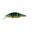 Poisson Nageur Babyface SD110-SF (10 - Perch)