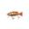 Poisson Nageur Biwaa Swimbass 15cm (Gold Fish)