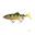 Leurre Truite réplicante Fox Rage shallow UV perch 130g