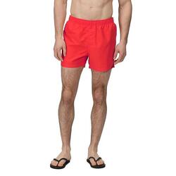 Short de bain WAYDE Homme (Rouge)