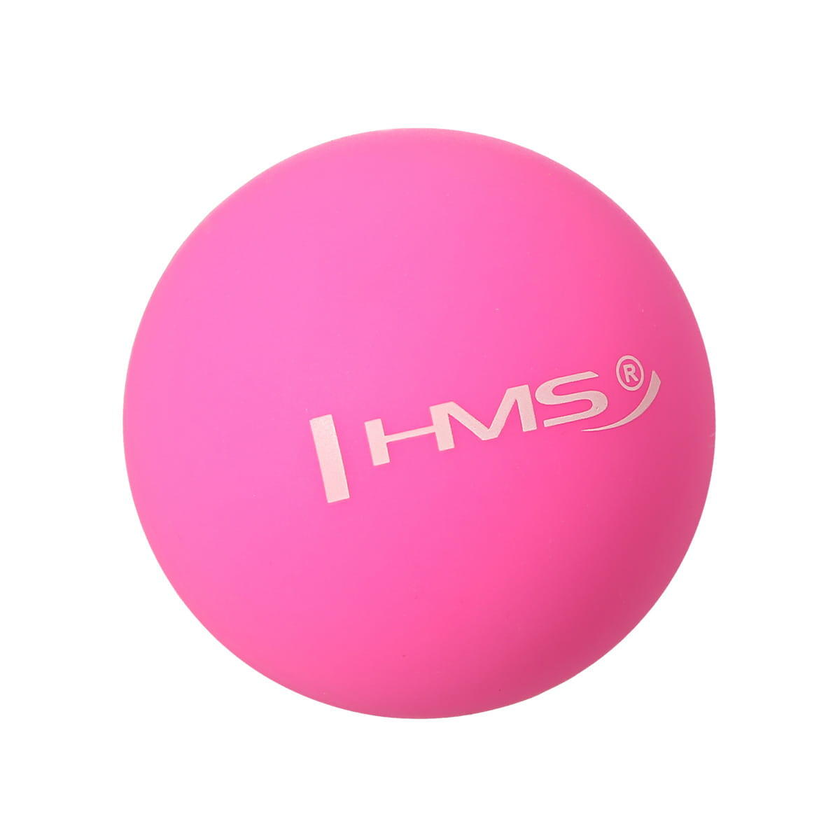 HMS picture