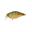 Leurre Illex Chubby 38 F (Agressive Perch)