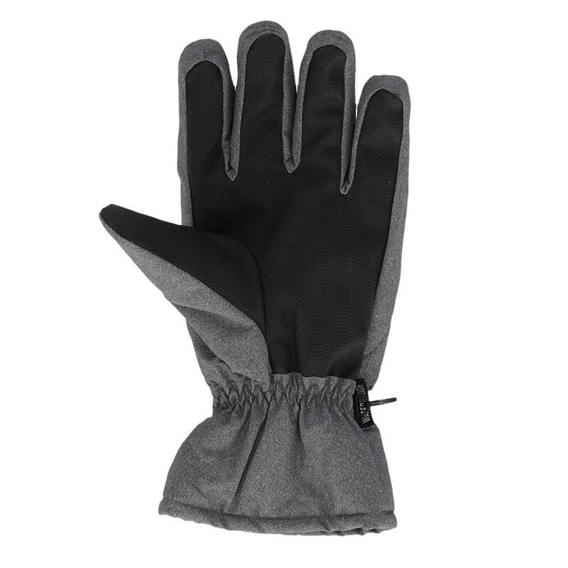 Heatkeeper mannen ski handschoenen grijs